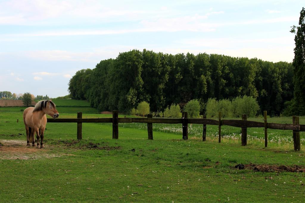 B&B Laurus Ypres Kültér fotó